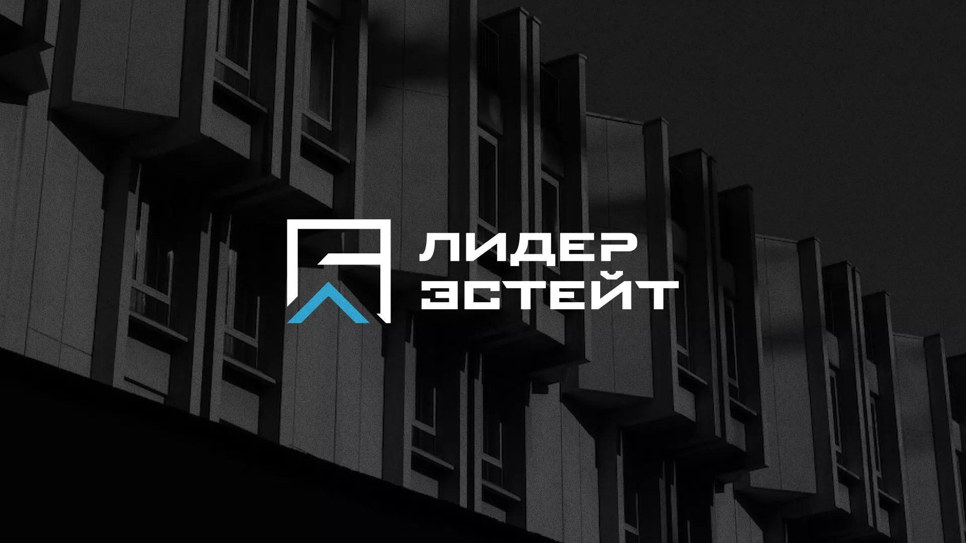 Разработка логотипа агентства недвижимости «Лидер Эстейт» в Верхнем Уфалее